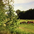Out in the Fields