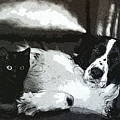 Bosom Buddies